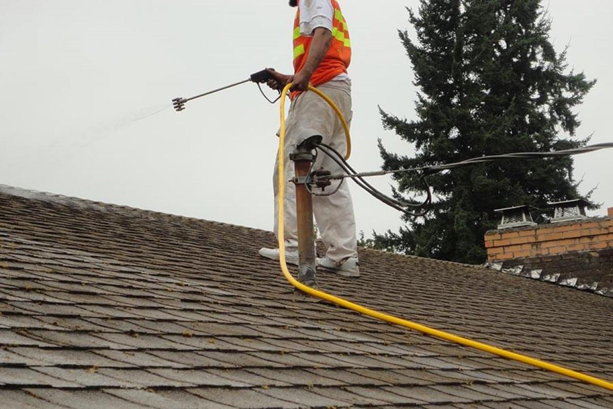 Кажете "сбогом" на неприятните насекоми