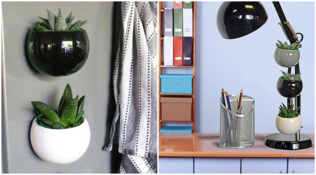 Или пък заложете на красиво живо растение