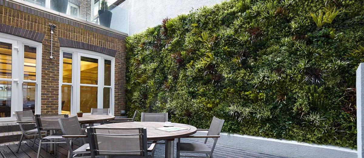 Вътрешен двор с жива ограда