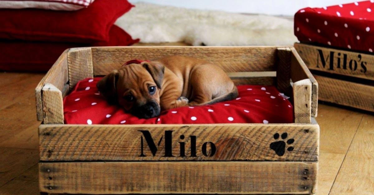 Легло за домашните любимци