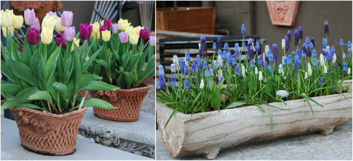 Класически идеи за любителите на семплата красота