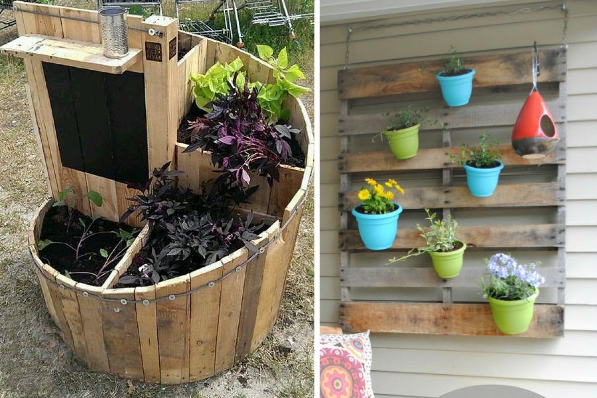 Акцент към обикновените саксии