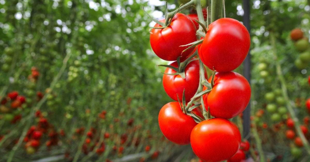 Температурата на водата