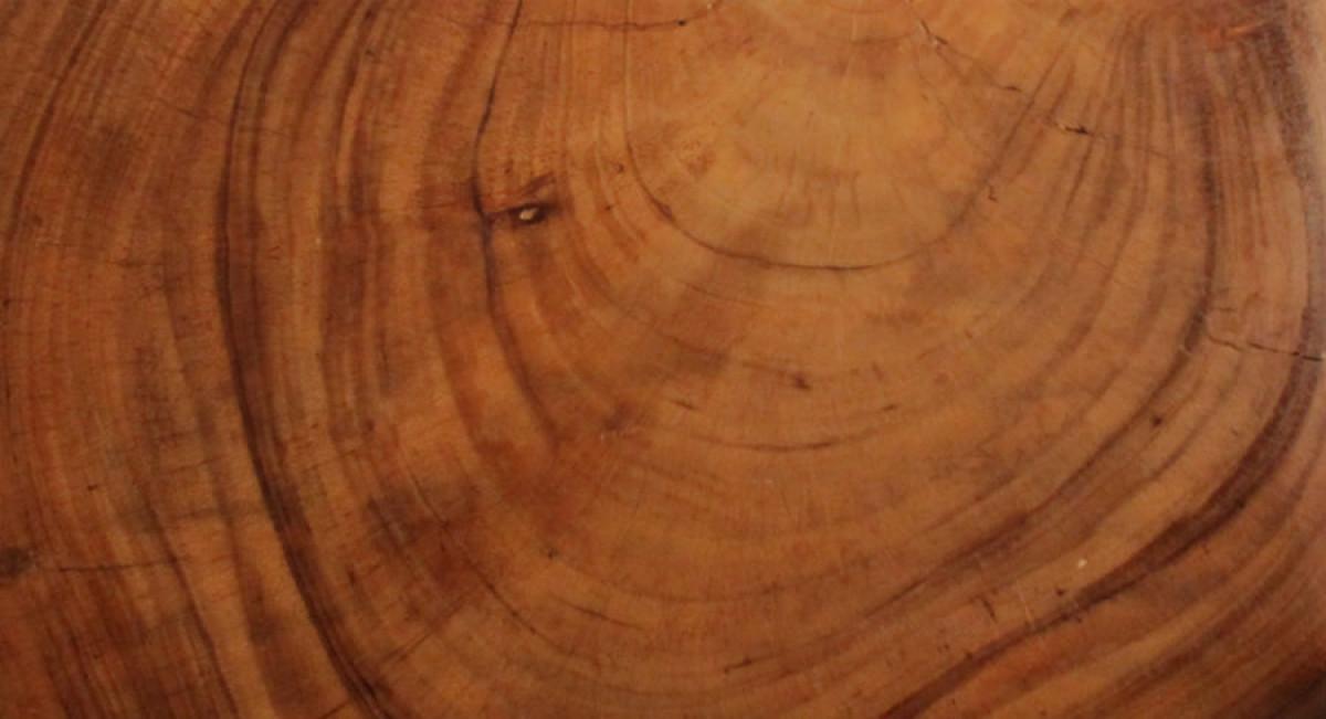 Масивно дърво