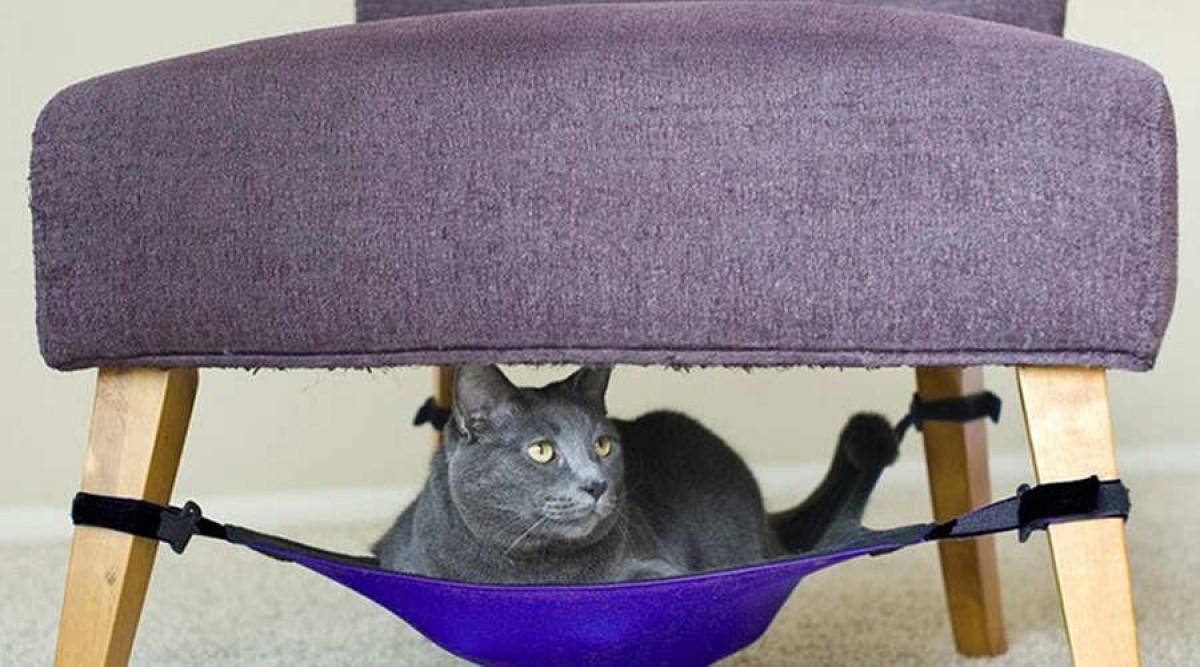 Хитрини за котешко удобство