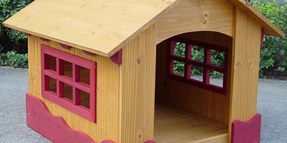 Сигнално, но изящно и безопасно