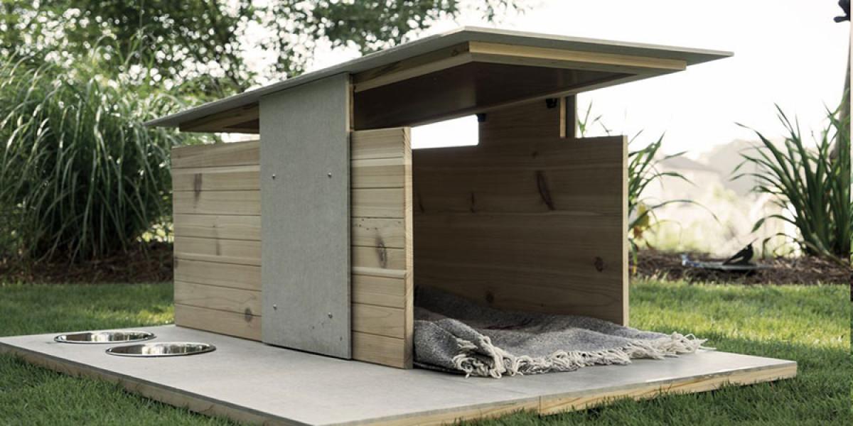 Стъпка нагоре - нека опрем хоризонта