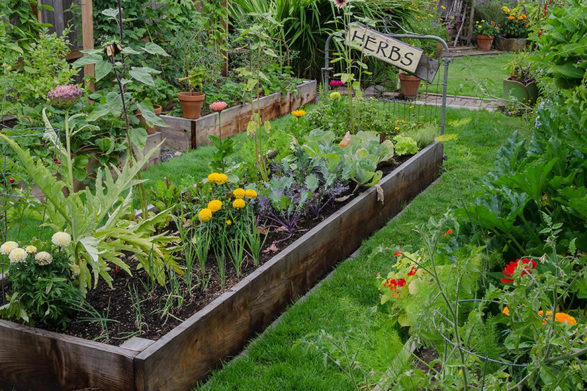 Дизайн на малка градина на открито