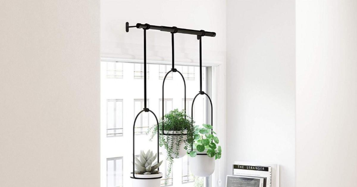 Модерни тенденции във вертикалните градини