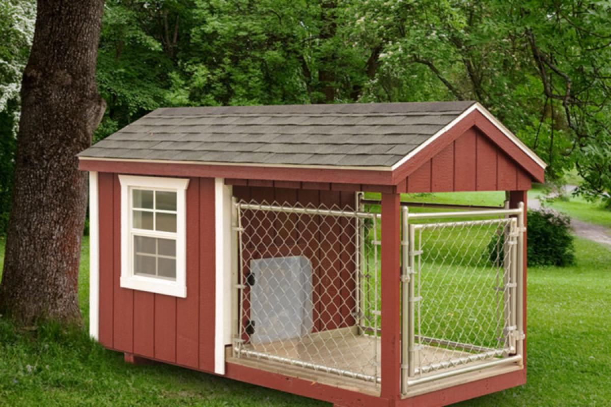 Как да следваме заветите на Майката Природа?