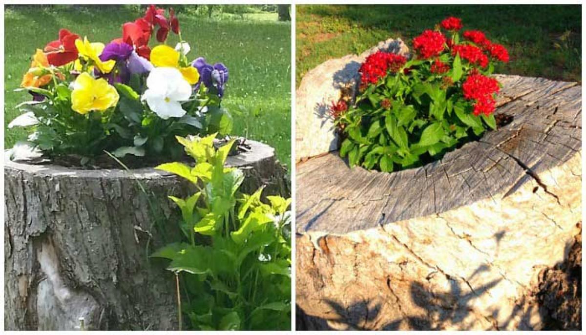 Посадете цветя във вече съществуващите дънери