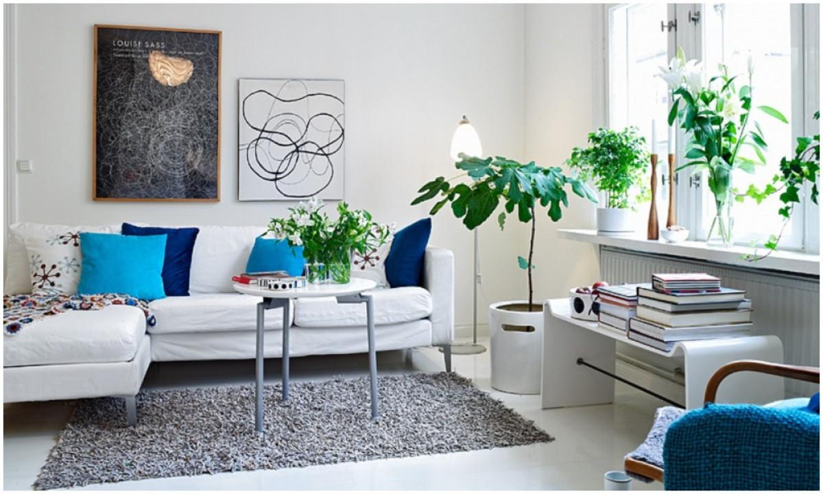 Добавете "живи" цветове