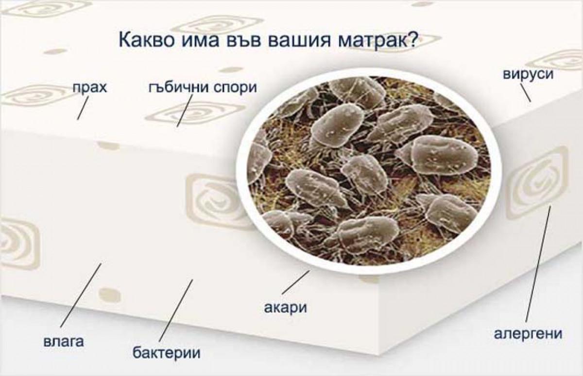 Защо е важно да почистваме матрака?