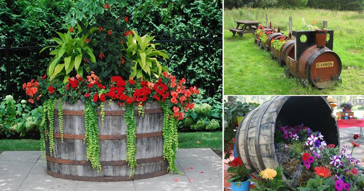 Не изхвърляйте старите бъчви от мазето на дядо