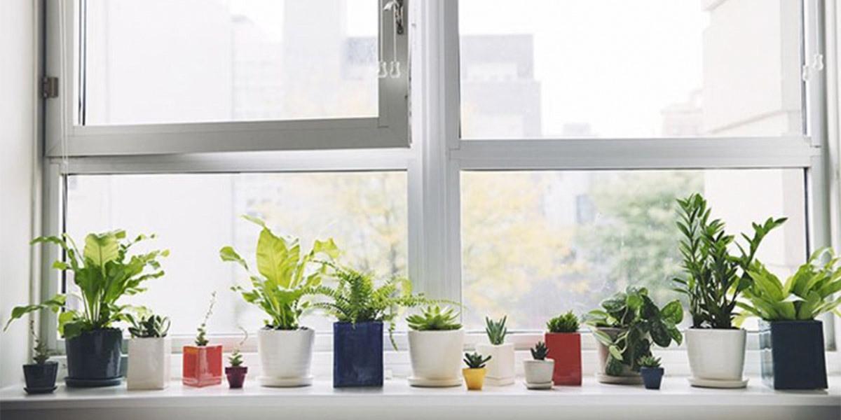 И простите решения са ефективни