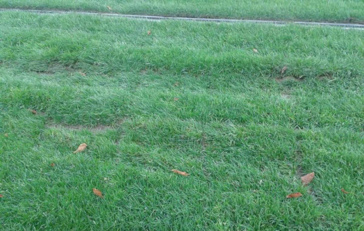 Неудобство за велосипедистите