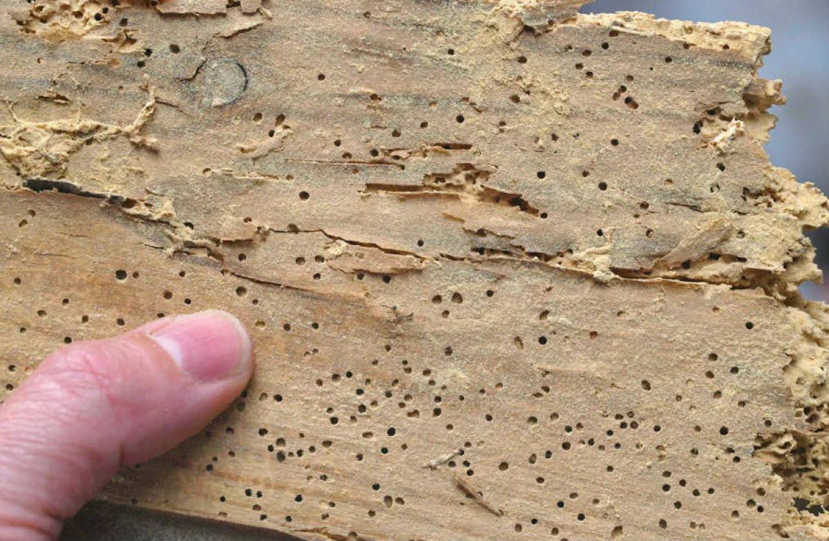 Защо купешките препарати често са безполезни?