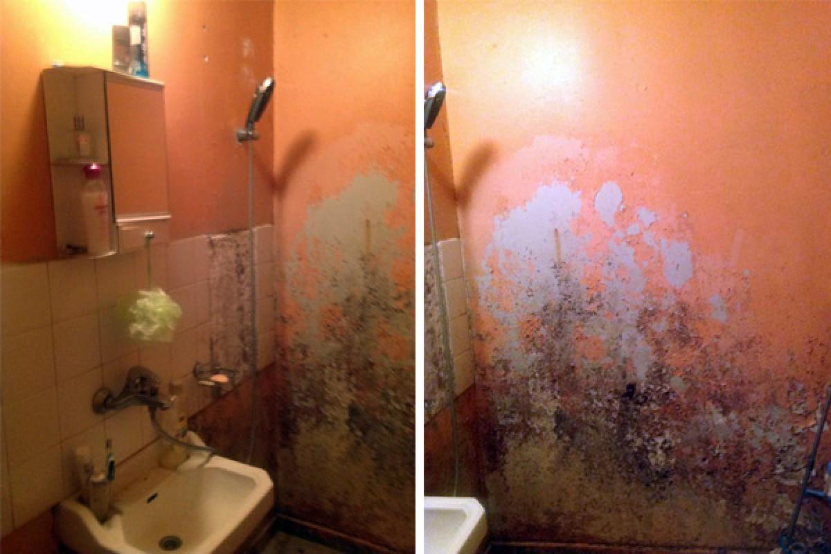 Клиентите говорят