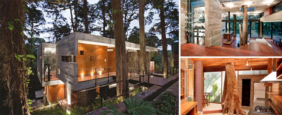 Постройте къщата си около дърво