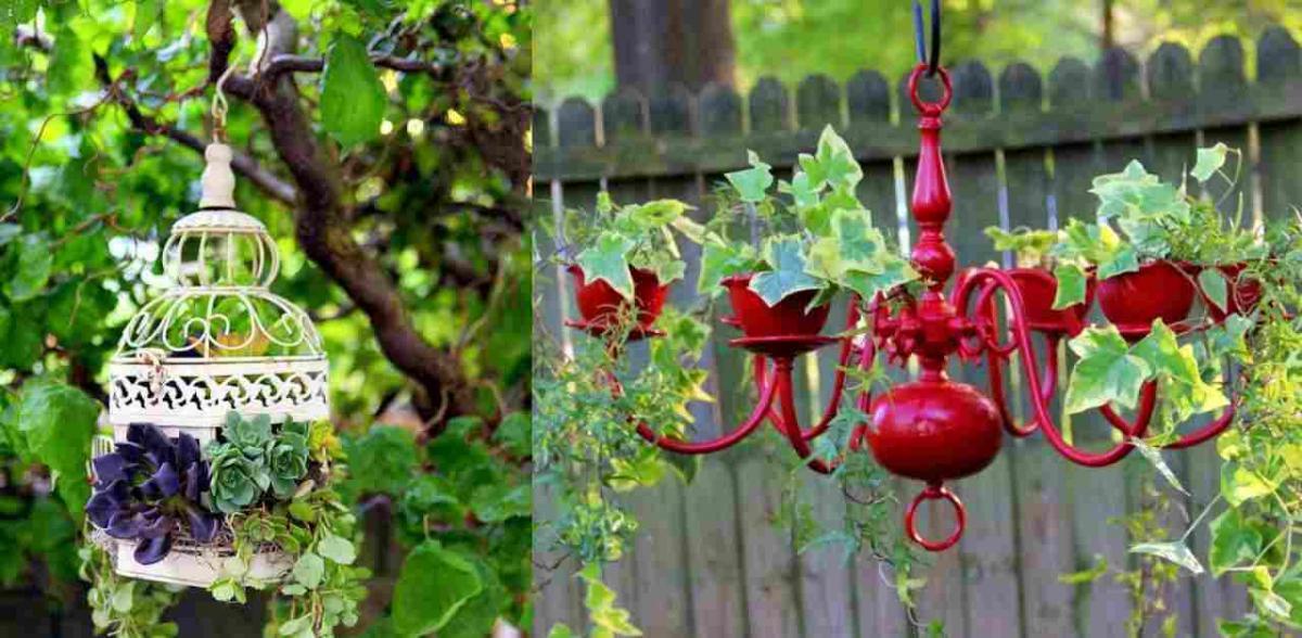 "Окачете" зеленината на високо