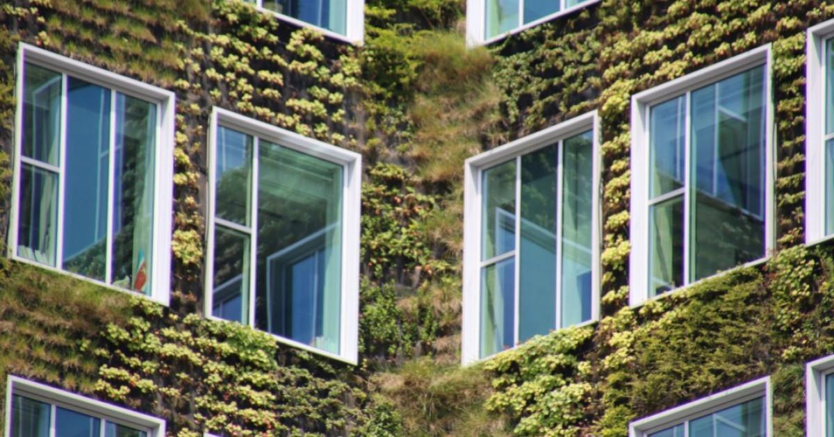Външни вертикални градини и стени