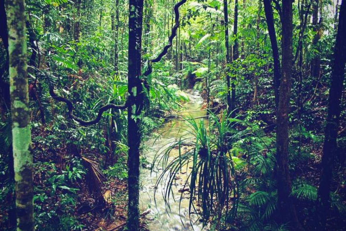 Национален парк Дейнтри, Куинсленд
