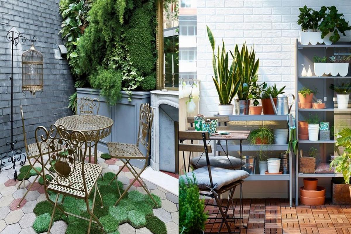 Растения, които ще красят балкона ви за дълго време