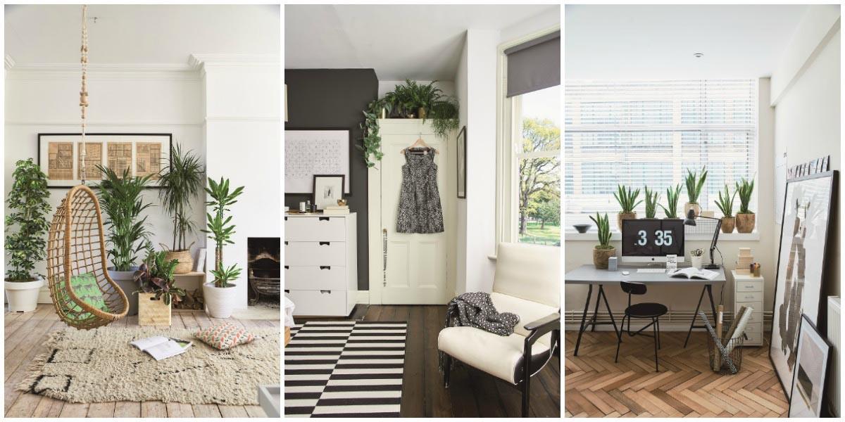 Адаптация и грижа за растенията ви