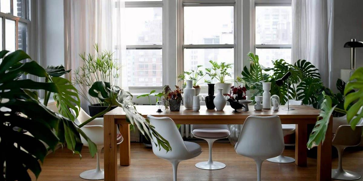 Време е да приберете цветята у дома