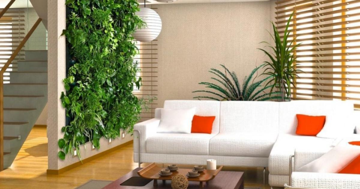 Изберете правилно място за вертикална градина