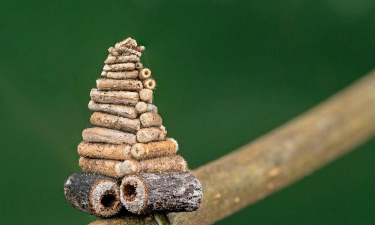 Уютна дървена къщичка