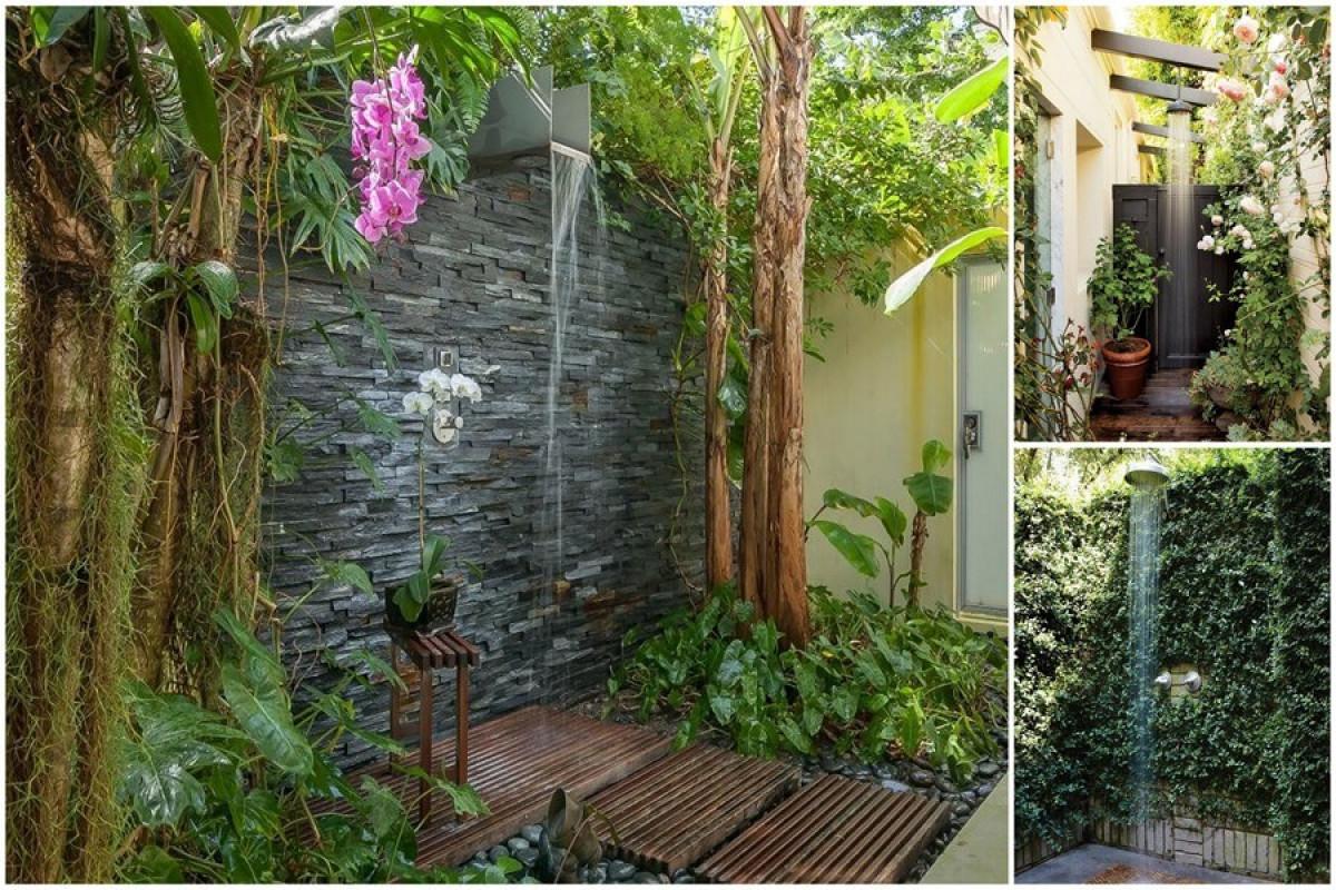 Обикновеният двор приема изцяло нов екзотичен облик