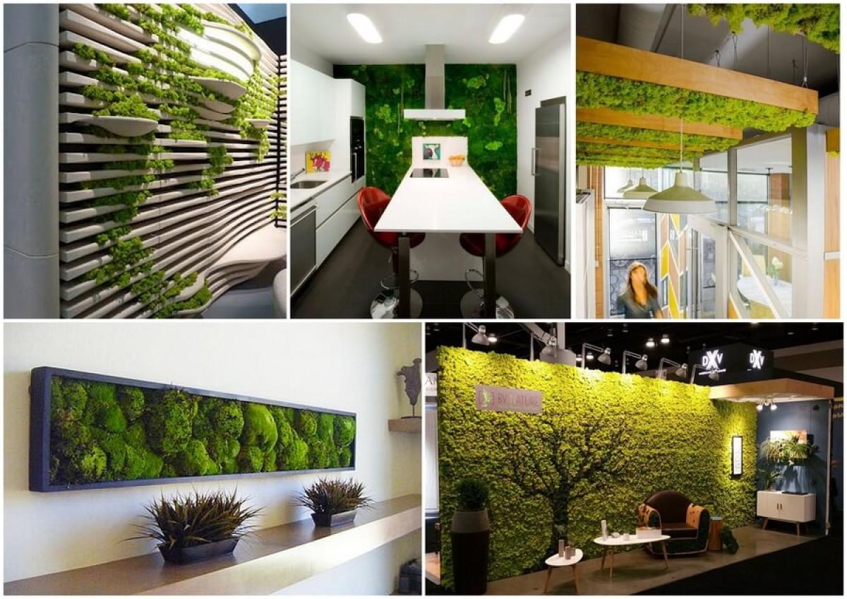 Мъх навсякъде, да се хванем за зелено