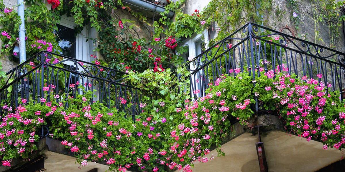 Пъстроцветна тераса