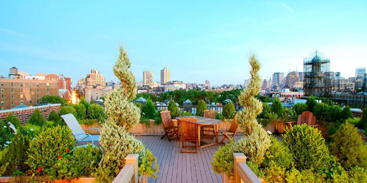 Растения, гонещи висотата на слънцето