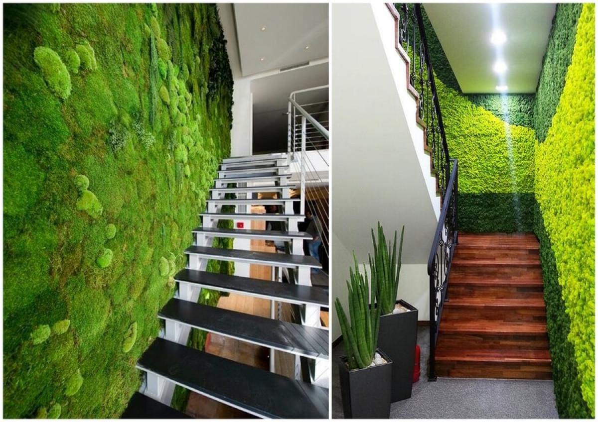 Декоративен мъх в интериора