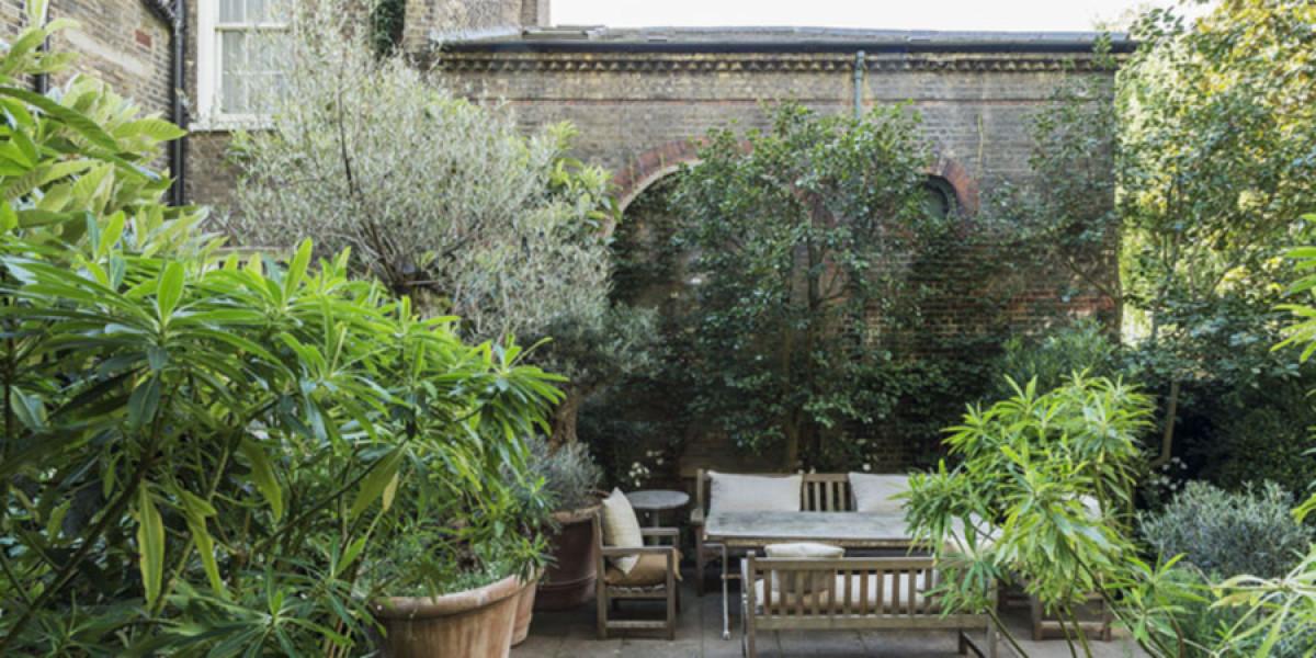 С грижа и внимание към всяко стръкче в градината на покрива