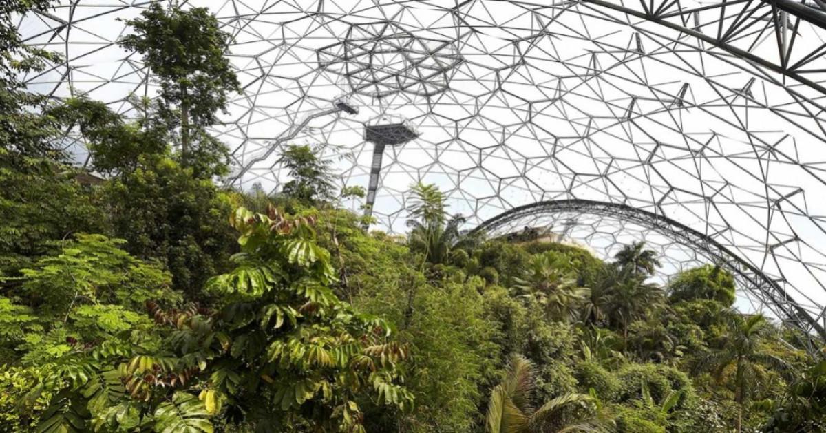 Биоми и растителност