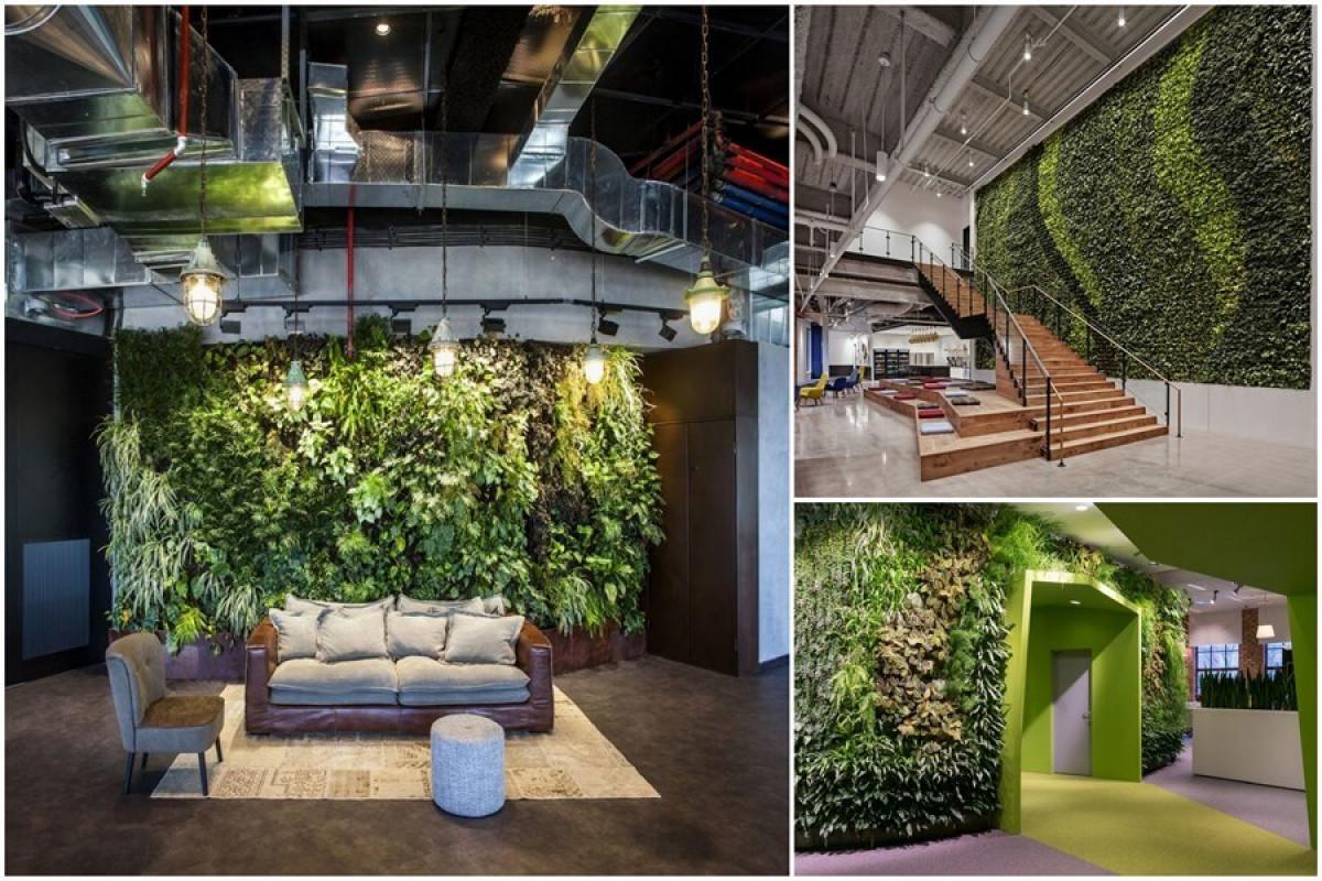 Създайте пространство за сплотяване на екипа с помощта на зелената стена