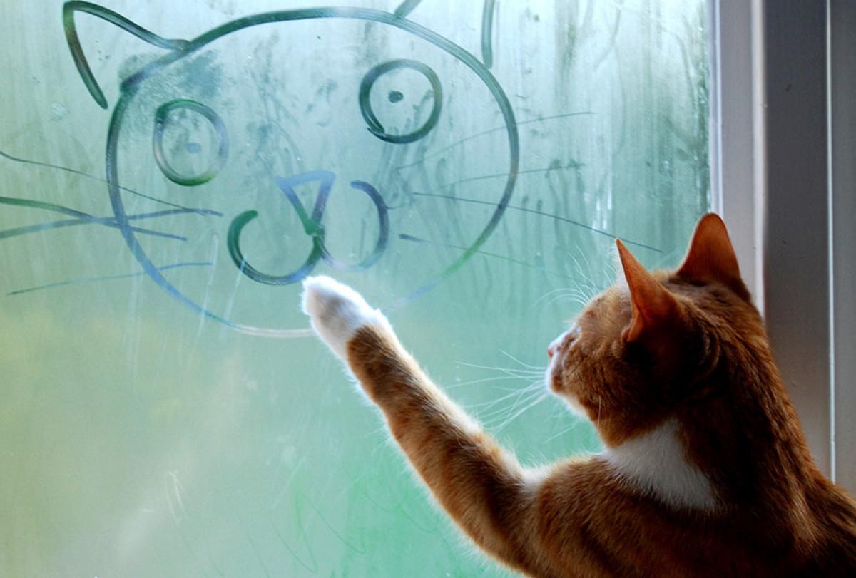 Още няколко полезни съвета за поддръжката на дограмата