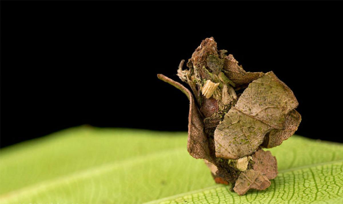 Артистичен подход