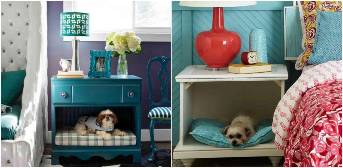 Малките кученца превземат нощните шкафчета