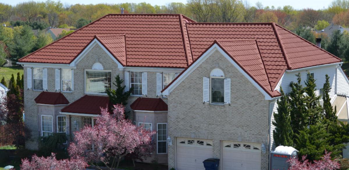 Очаквайте скоро покрива хамелеон