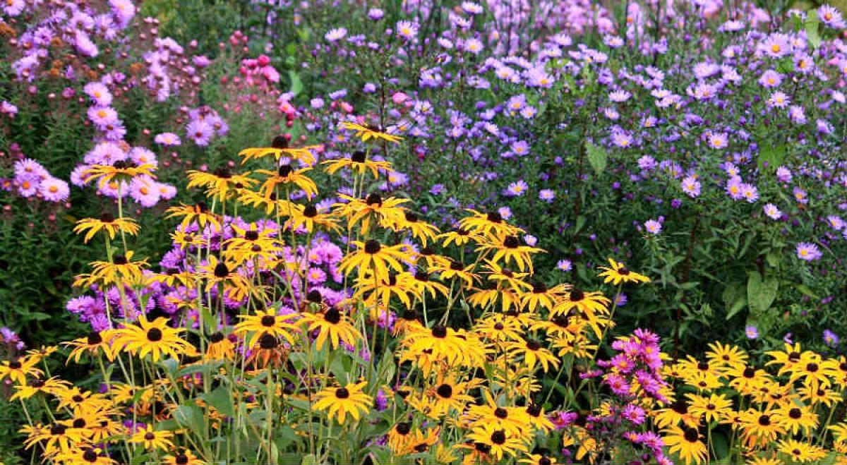 Подстрижка и нова подредба