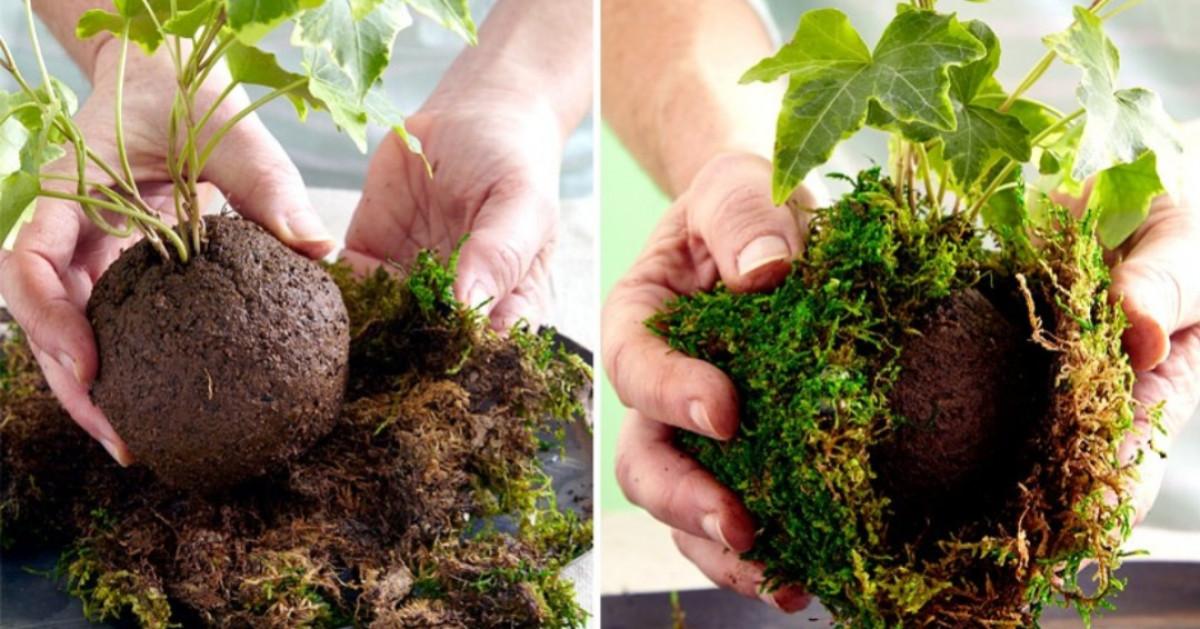 Стъпка 3: Увийте с мъх