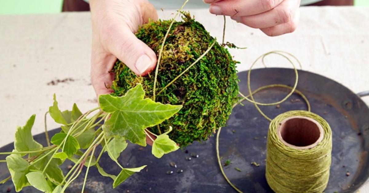 Стъпка 4: Завържете мъха с конопа или кордата