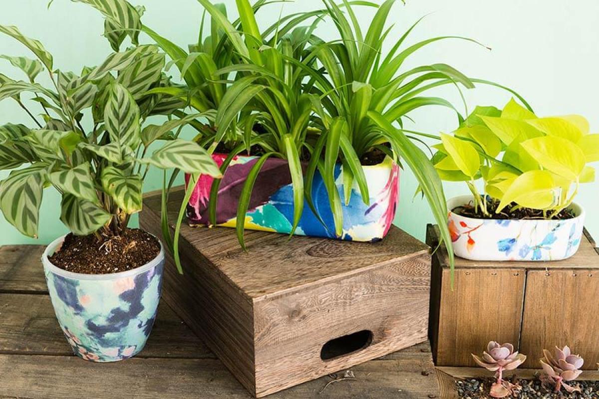 Стъпка 4: Аранжирайте с вкус и внимание към детайлите