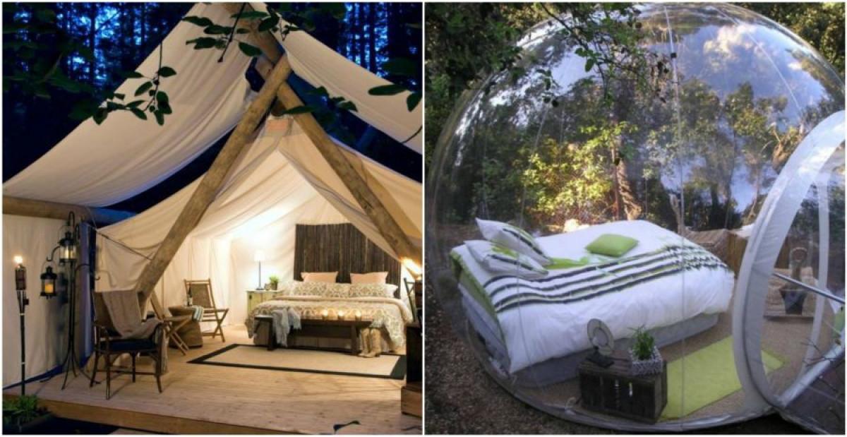 Вълшебни сънища в гората