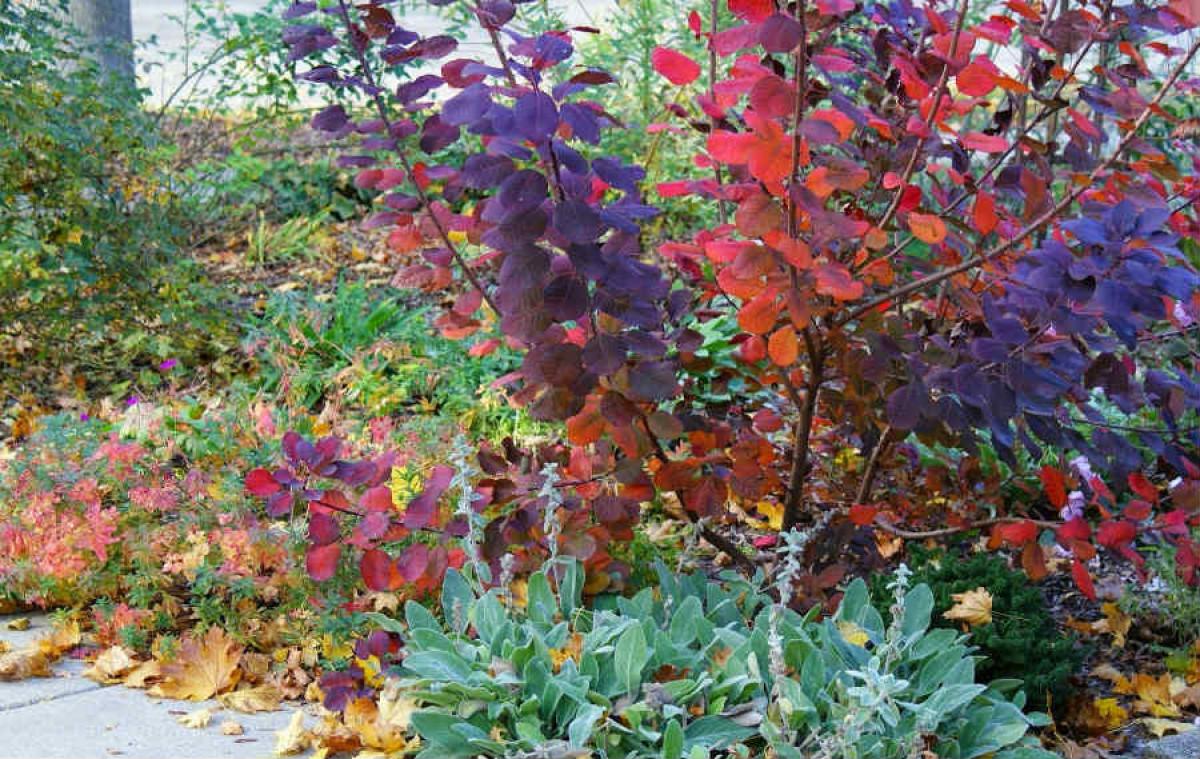 Покрийте декоративните фонтани