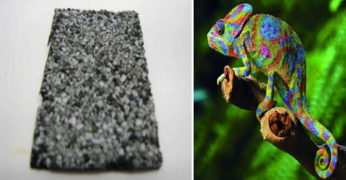 Покрив хамелеон пести енергия